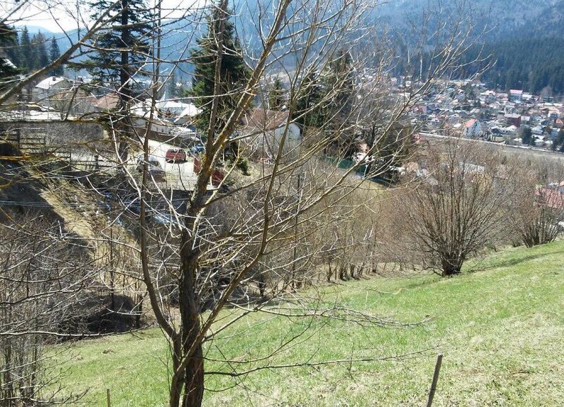 Teren de vanzare in Busteni - Zona Zamora